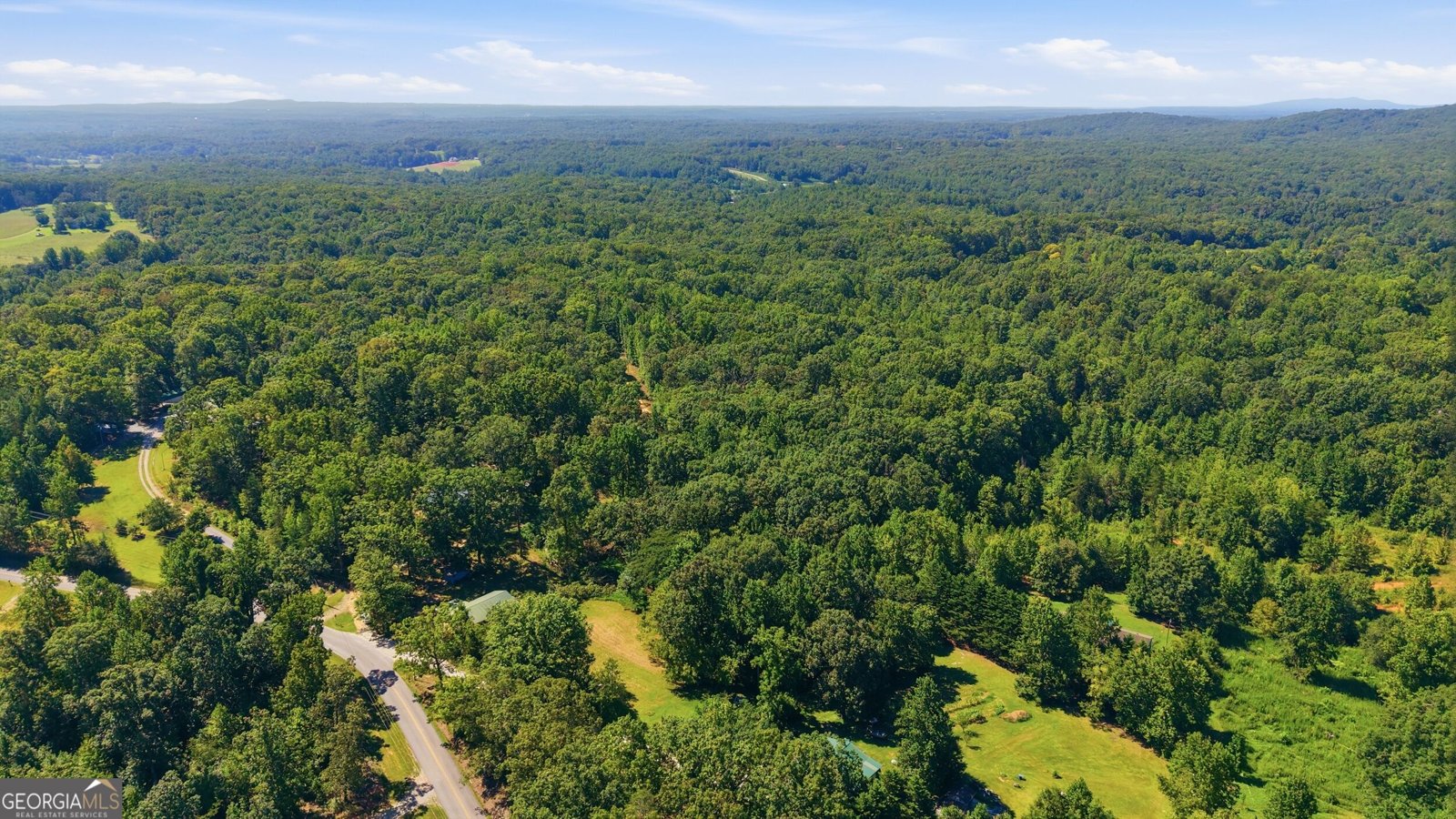 106 Goss Road Clarkesville - Photo 36
