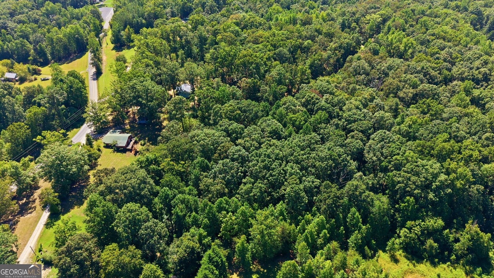 106 Goss Road Clarkesville - Photo 37