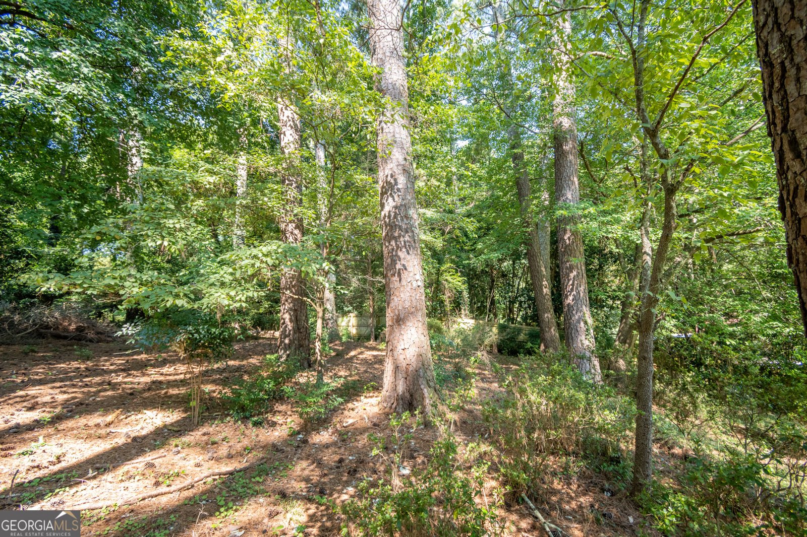 192 Brownwood Drive Hull - Photo 39