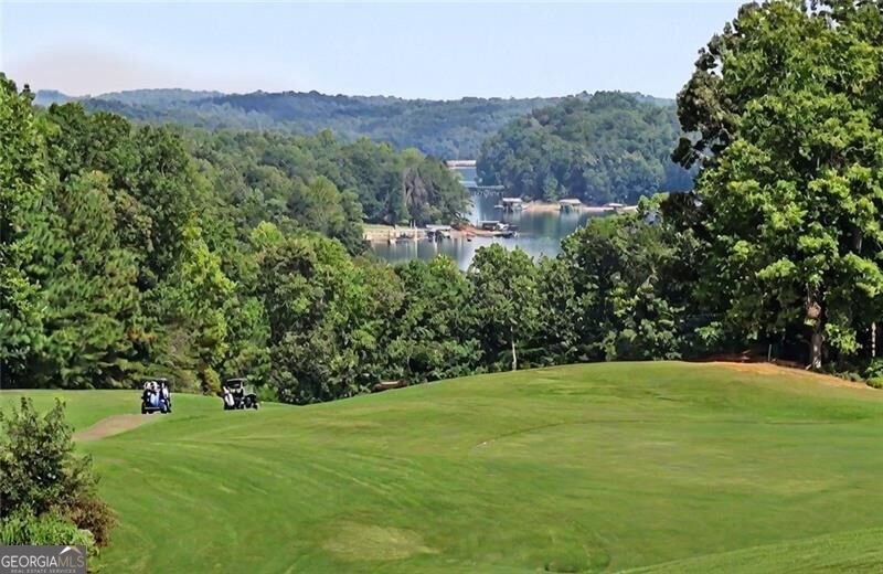 87 Blue Heron Bluff Dawsonville - Photo 10
