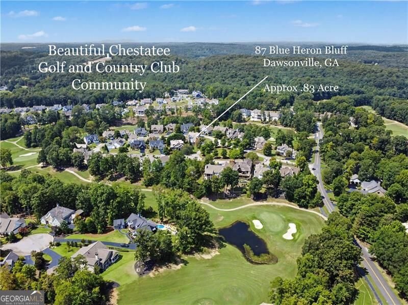 87 Blue Heron Bluff Dawsonville - Photo 22