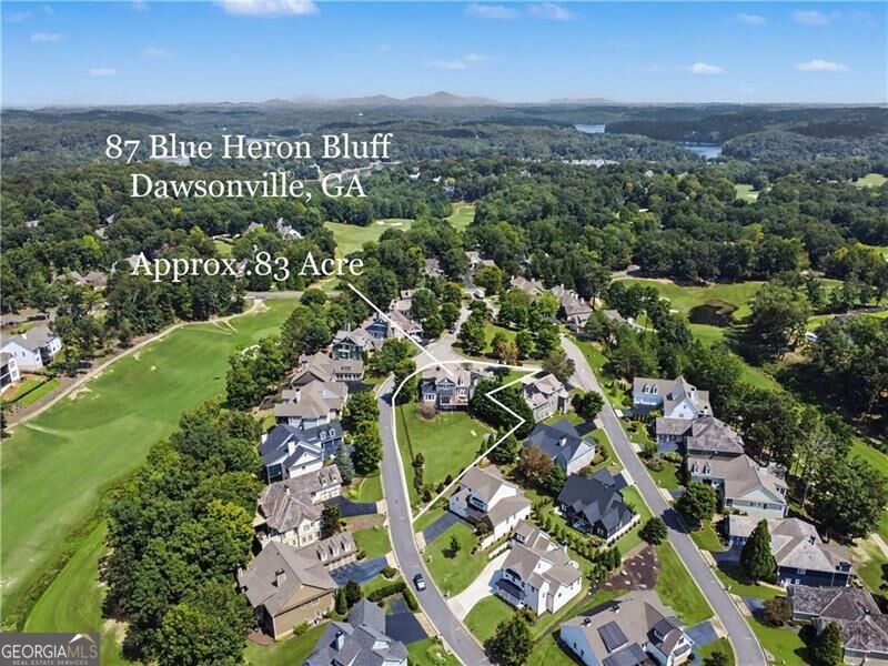87 Blue Heron Bluff Dawsonville - Photo 24