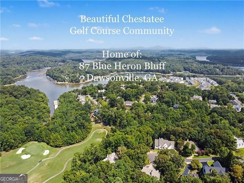 87 Blue Heron Bluff Dawsonville - Photo 7