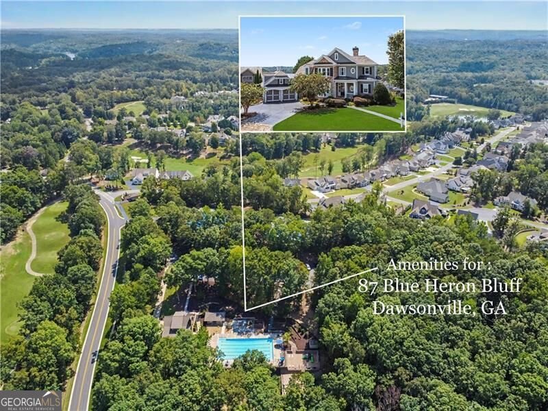 87 Blue Heron Bluff Dawsonville - Photo 8
