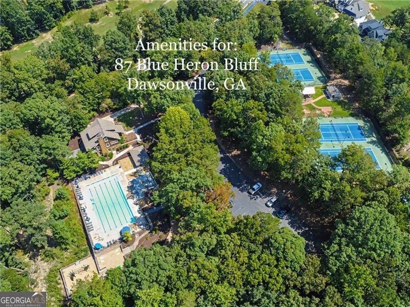 87 Blue Heron Bluff Dawsonville - Photo 9