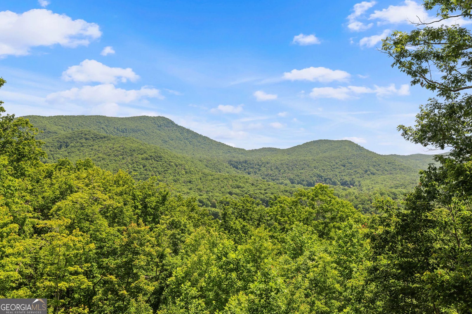 557 Walnut Grove Lane Tiger - Photo 26