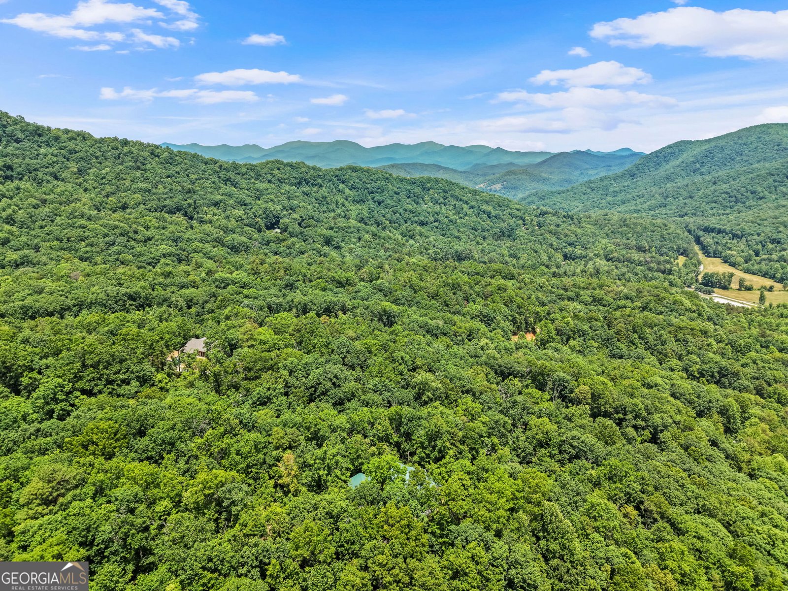 557 Walnut Grove Lane Tiger - Photo 66