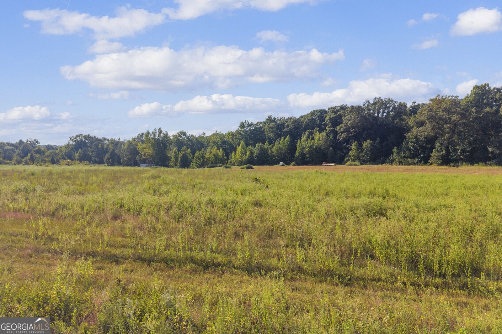 61 Farris Road Hartwell - Photo 43