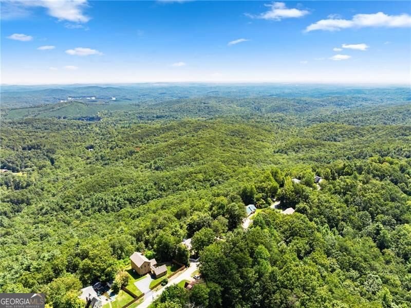 1015 Eagle Ridge Road Dawsonville - Photo 58