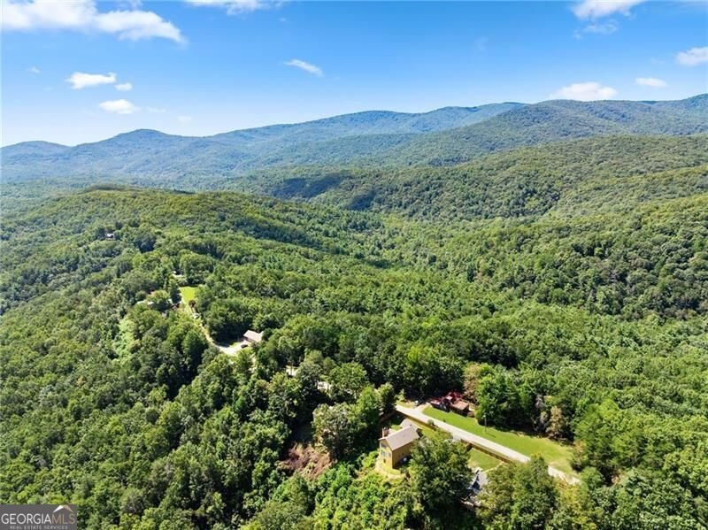 1015 Eagle Ridge Road Dawsonville - Photo 59