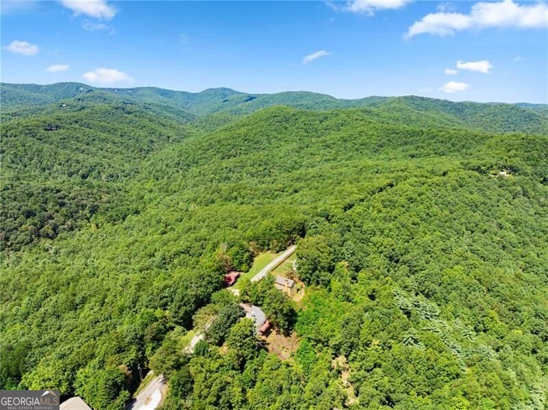 1015 Eagle Ridge Road Dawsonville - Photo 60