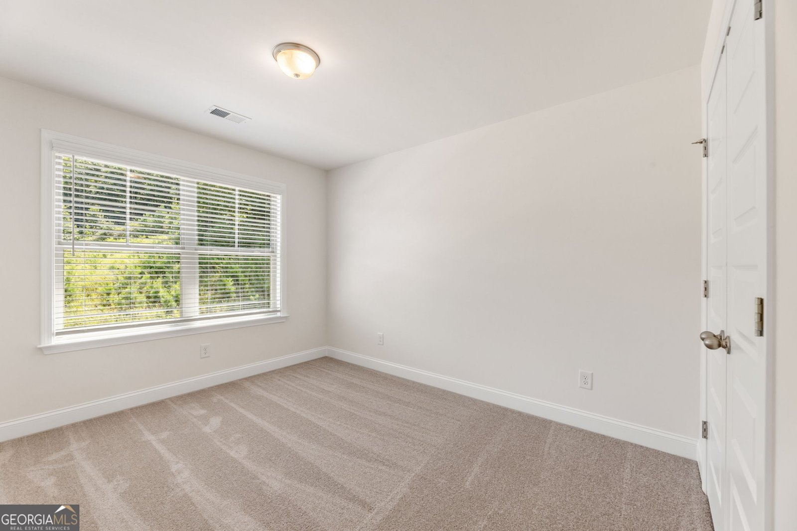 127 Open Waters Walk Braselton - Photo 17