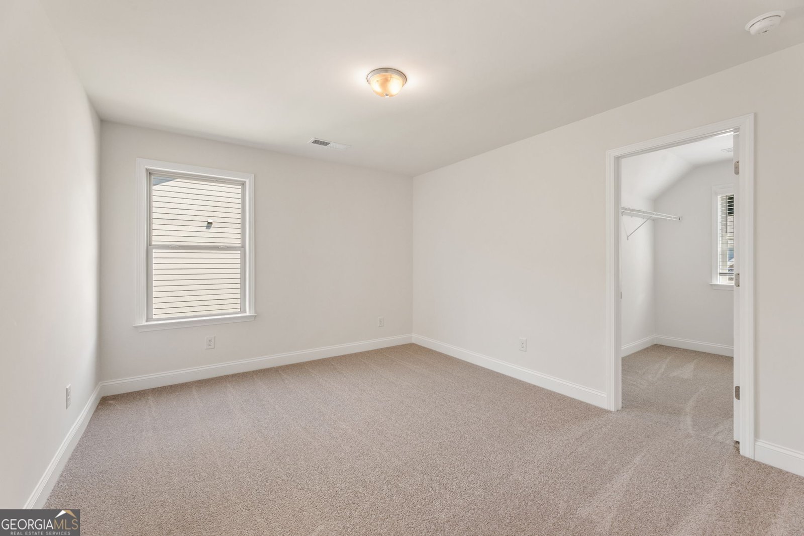 127 Open Waters Walk Braselton - Photo 18