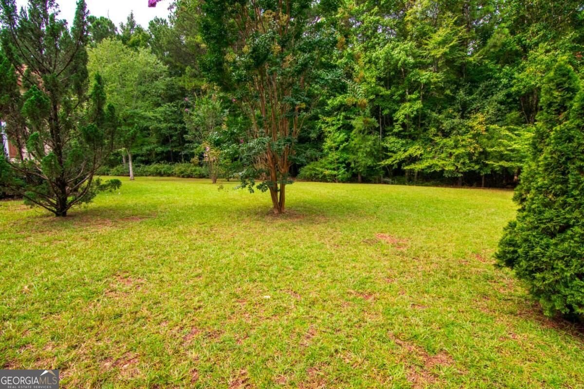 200 Sullivan Circle Pine Mountain - Photo 60