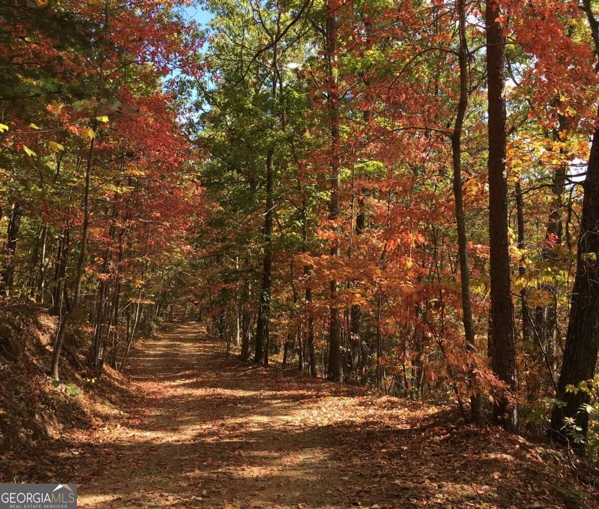 416 Autumn Hills Drive Morganton - Photo 42