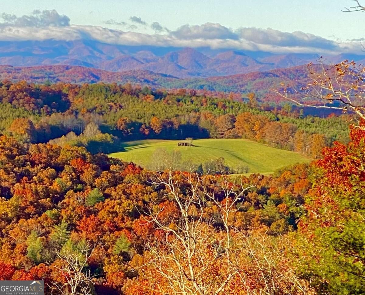 416 Autumn Hills Drive Morganton - Photo 7