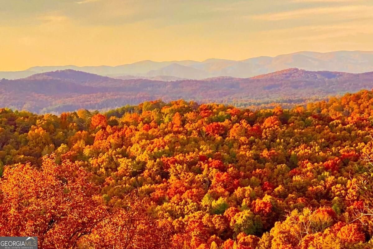 416 Autumn Hills Drive Morganton - Photo 8