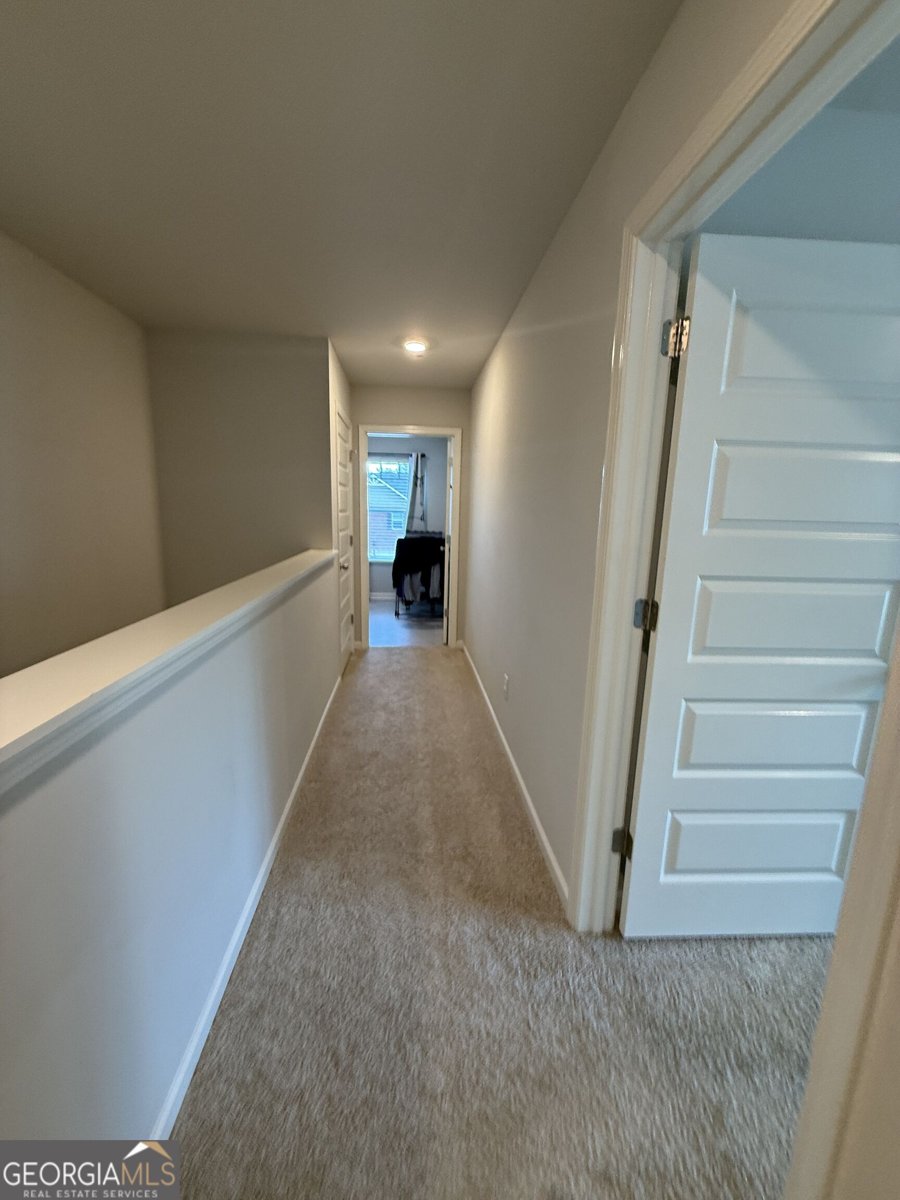 228 Cranapple Lane McDonough - Photo 50