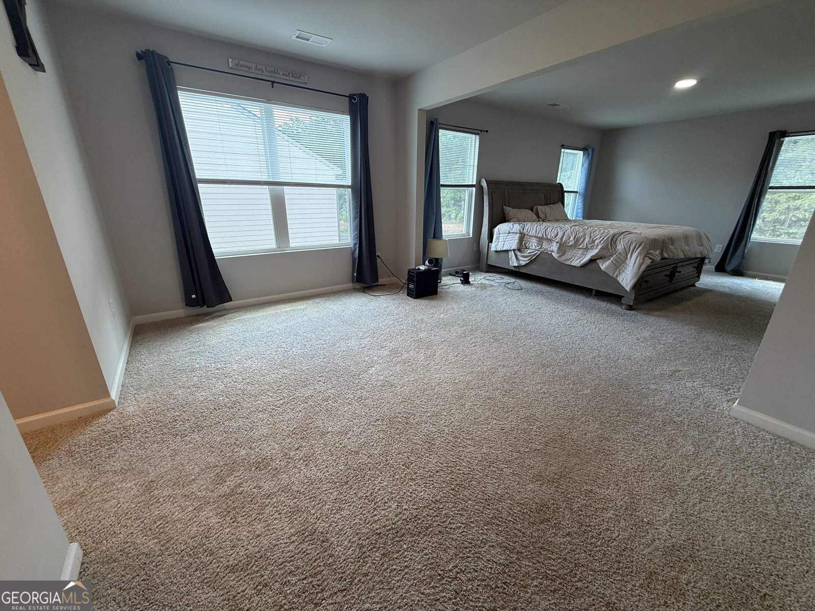 228 Cranapple Lane McDonough - Photo 52