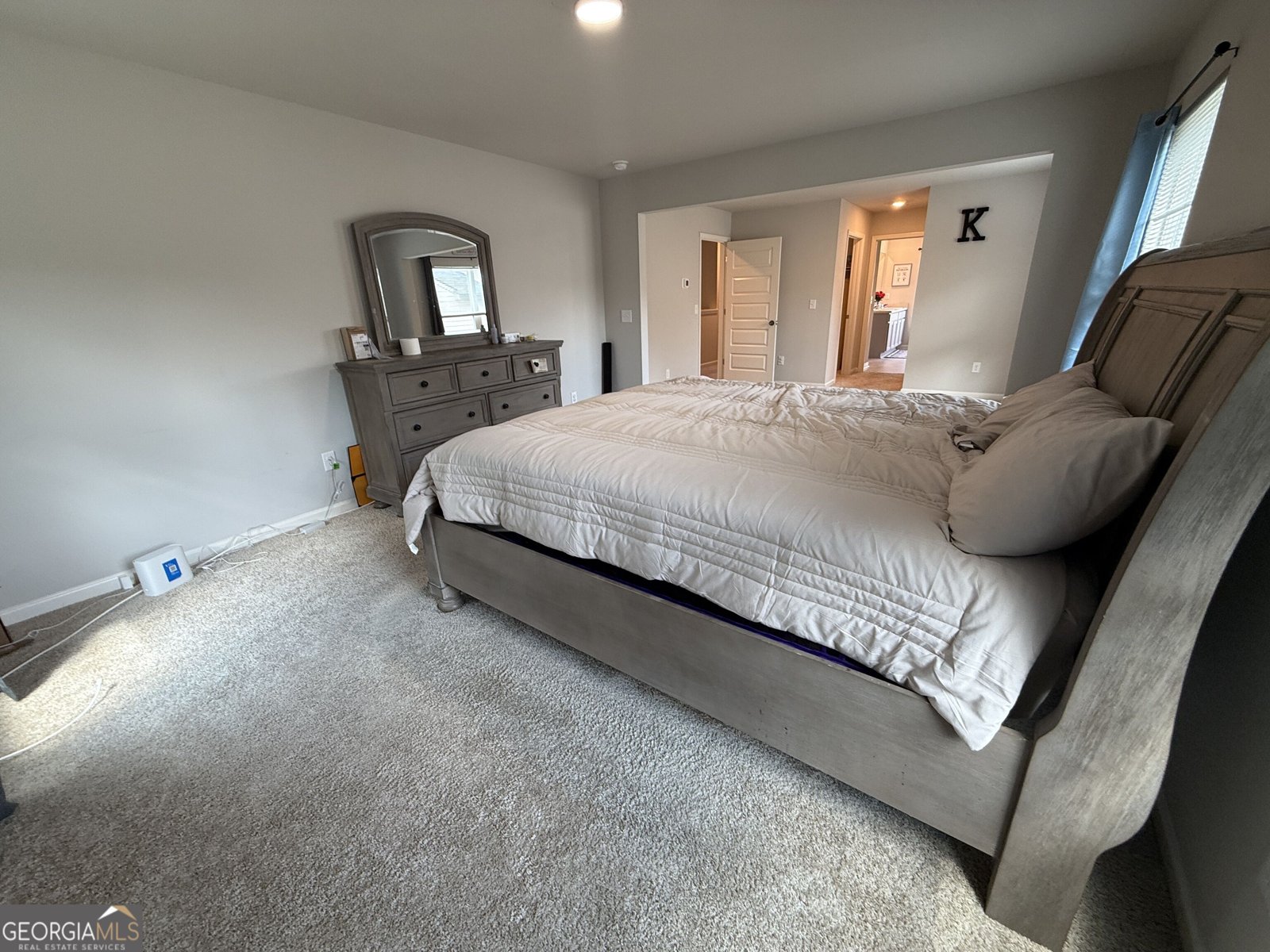 228 Cranapple Lane McDonough - Photo 55