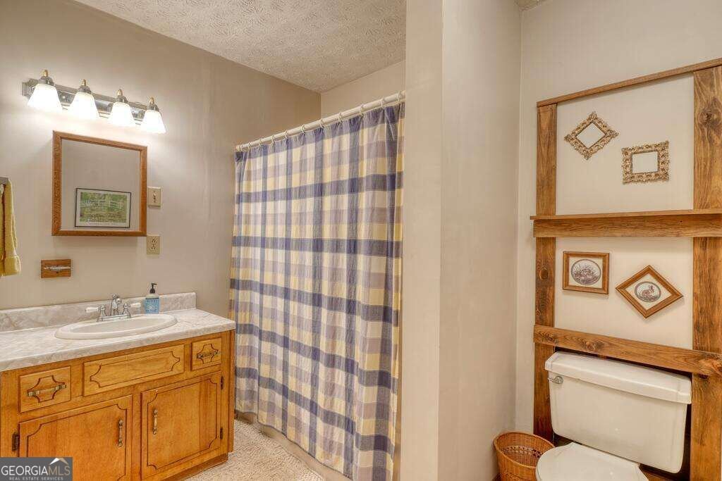 142 Mosley Lane Blairsville - Photo 47