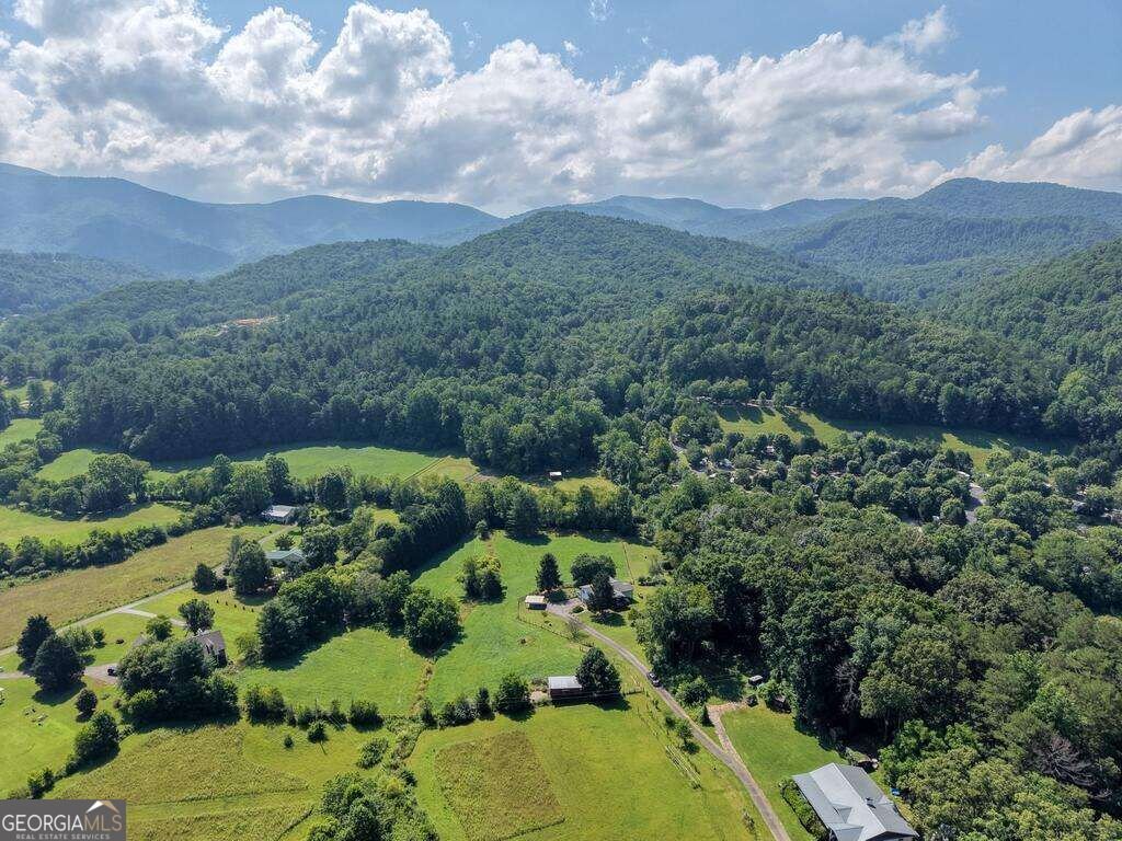 142 Mosley Lane Blairsville - Photo 81
