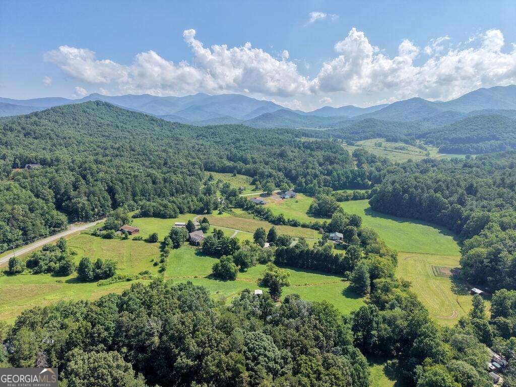 142 Mosley Lane Blairsville - Photo 84