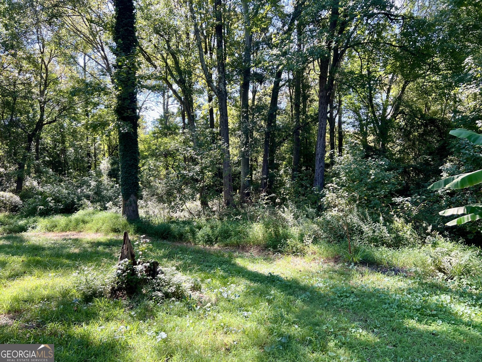 105 Duke Street Winder - Photo 31