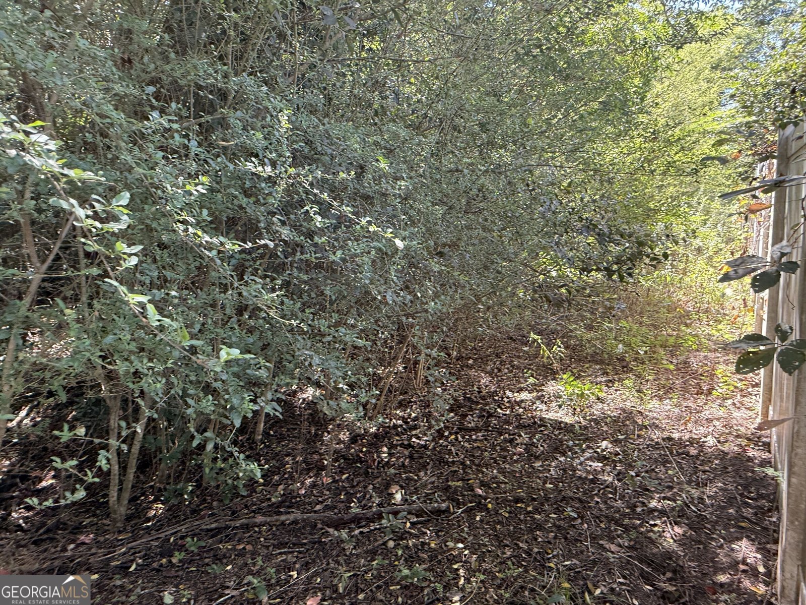 201 Strawberry Circle Dublin - Photo 41