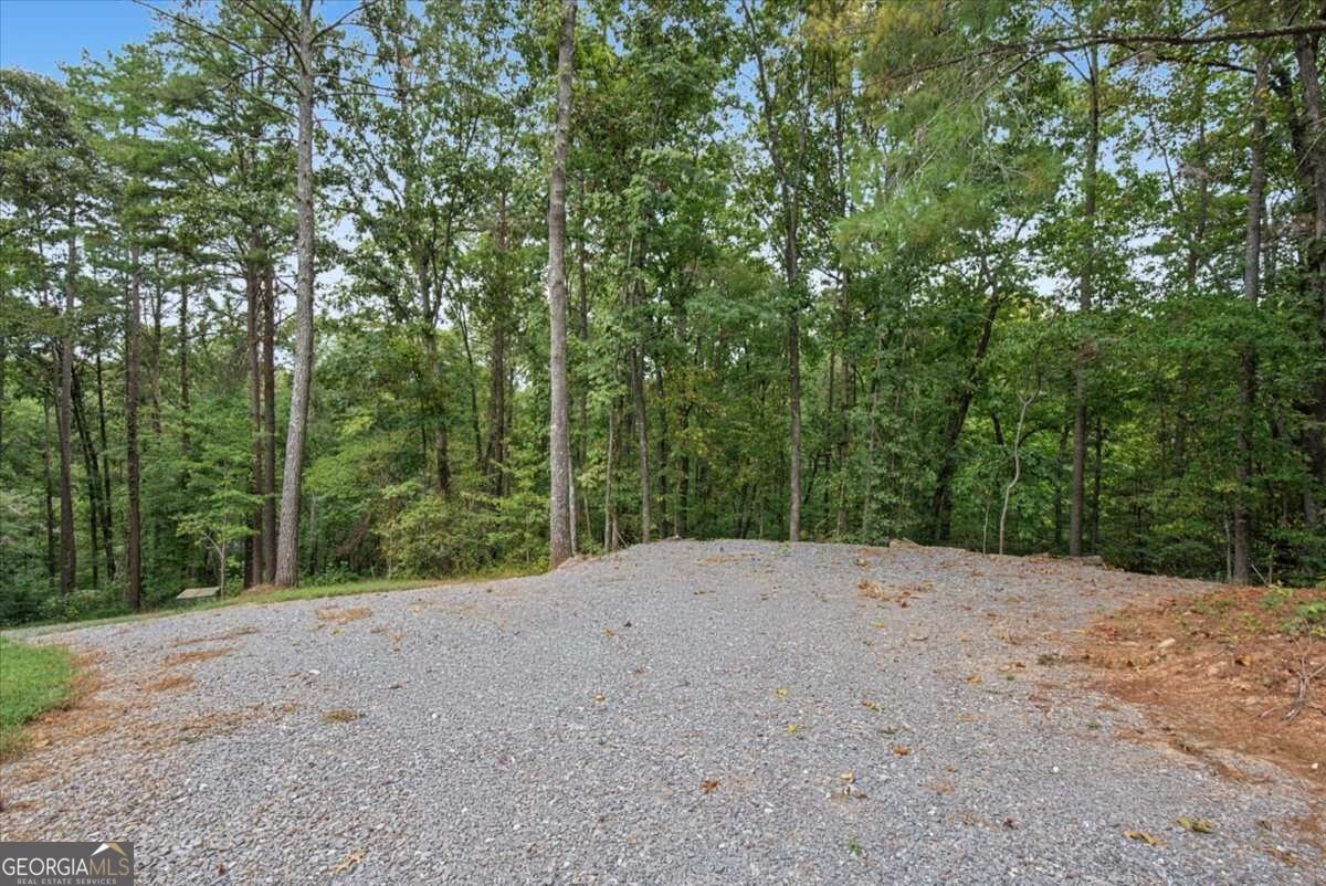 1725 Cherokee Gold Trail Ball Ground - Photo 51