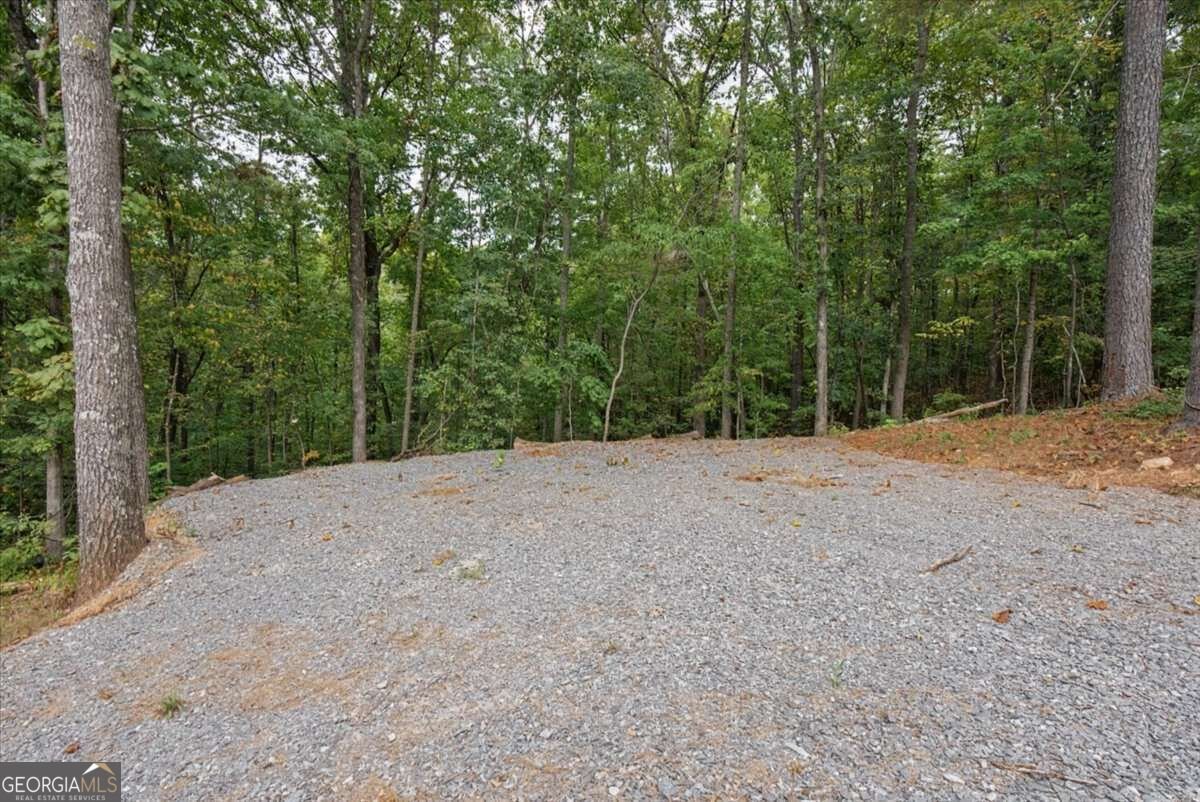 1725 Cherokee Gold Trail Ball Ground - Photo 52