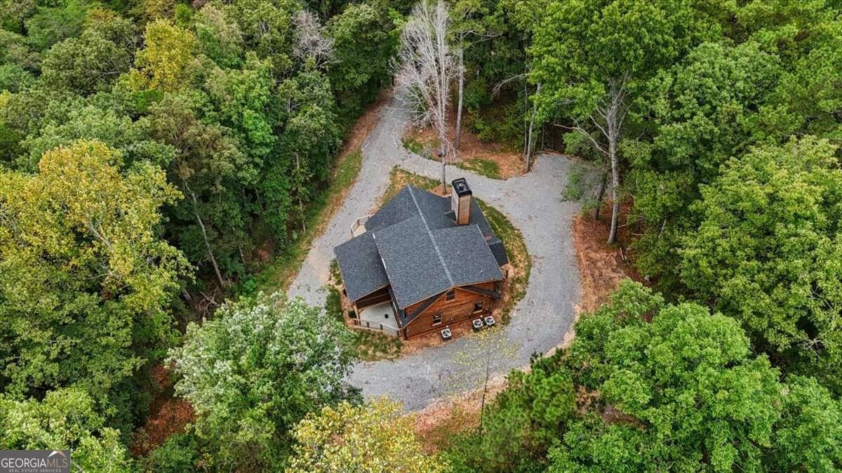 1725 Cherokee Gold Trail Ball Ground - Photo 55
