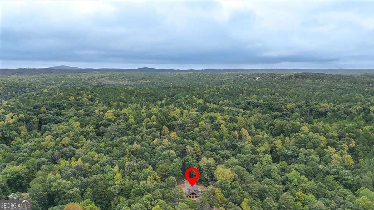 1725 Cherokee Gold Trail Ball Ground - Photo 57