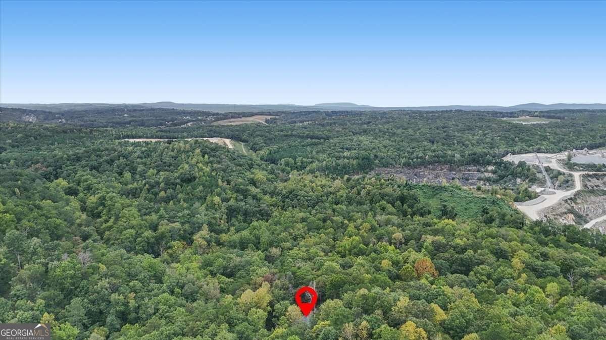 1725 Cherokee Gold Trail Ball Ground - Photo 58