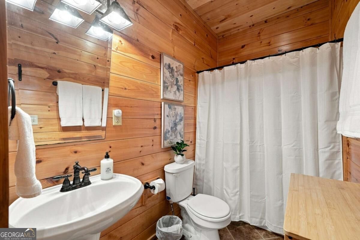 405 Donna Lee Lane Mineral Bluff - Photo 34