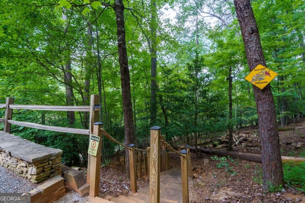 405 Donna Lee Lane Mineral Bluff - Photo 45