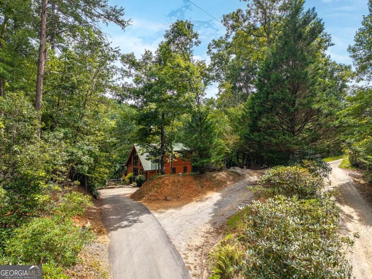 405 Donna Lee Lane Mineral Bluff - Photo 47