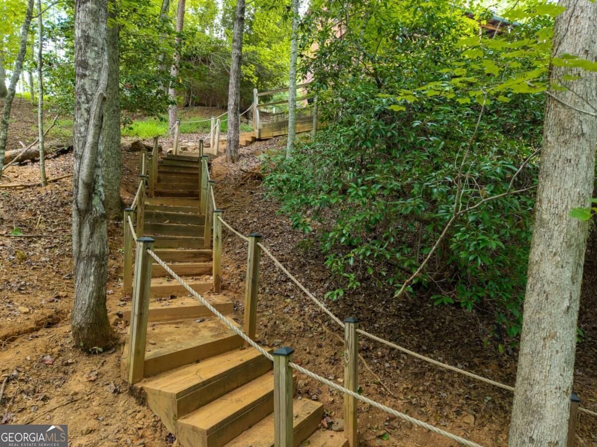 405 Donna Lee Lane Mineral Bluff - Photo 53