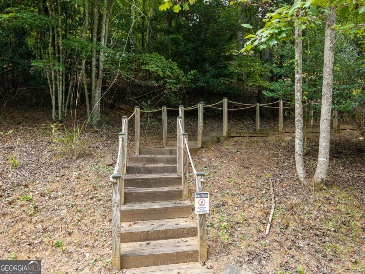 405 Donna Lee Lane Mineral Bluff - Photo 54