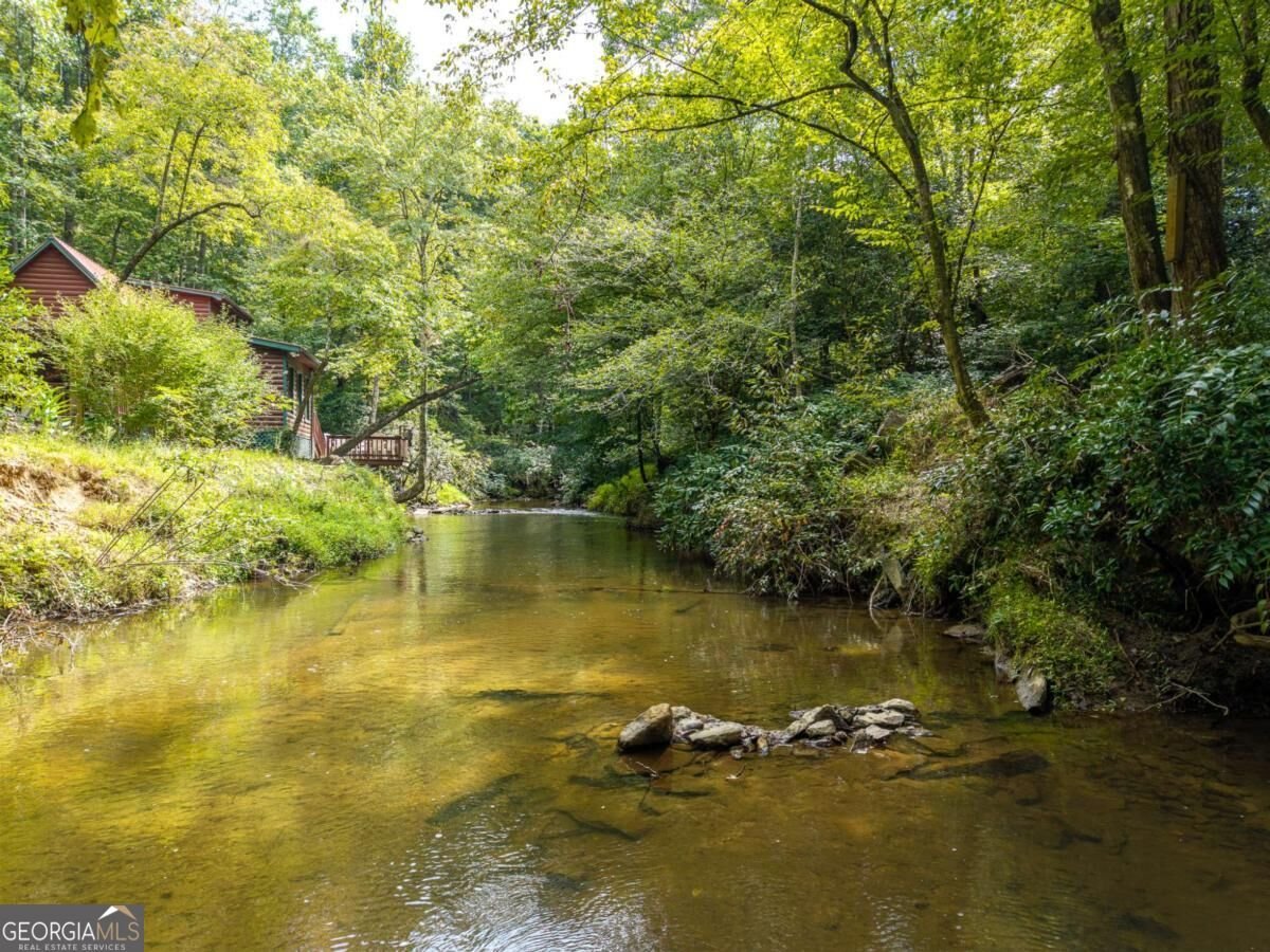 405 Donna Lee Lane Mineral Bluff - Photo 56