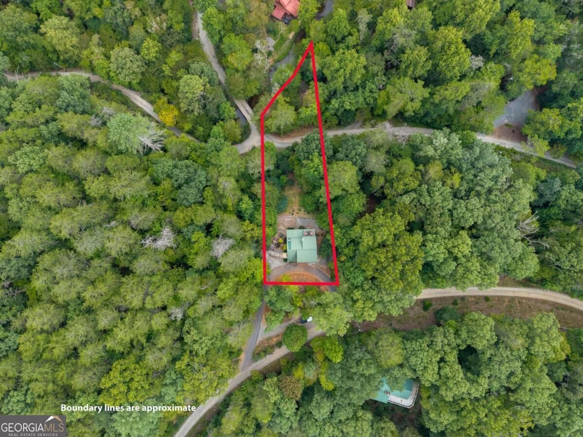 405 Donna Lee Lane Mineral Bluff - Photo 57