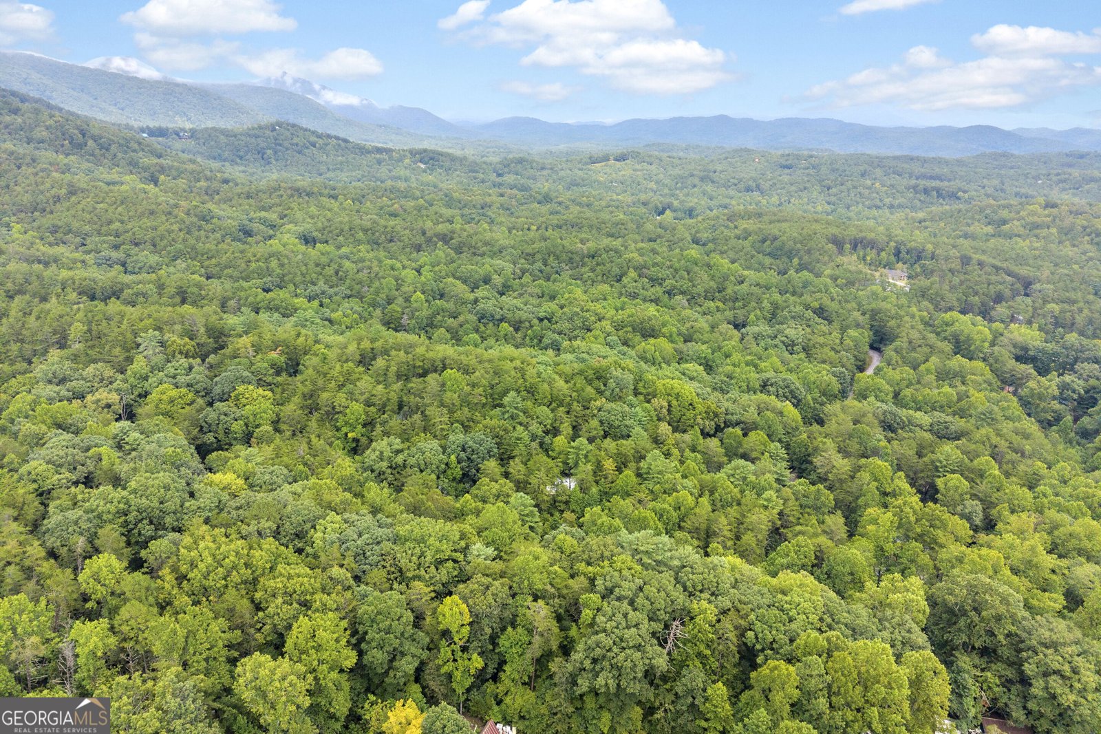 66 Lovers Lane Sautee Nacoochee - Photo 64