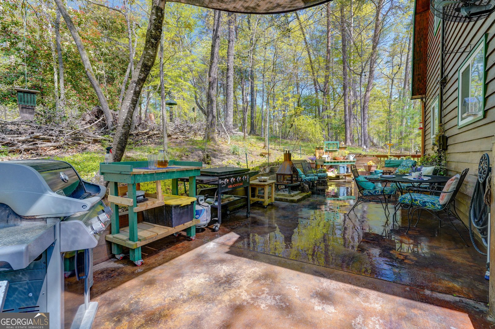 158 Beaver Lake Drive Ellijay - Photo 32