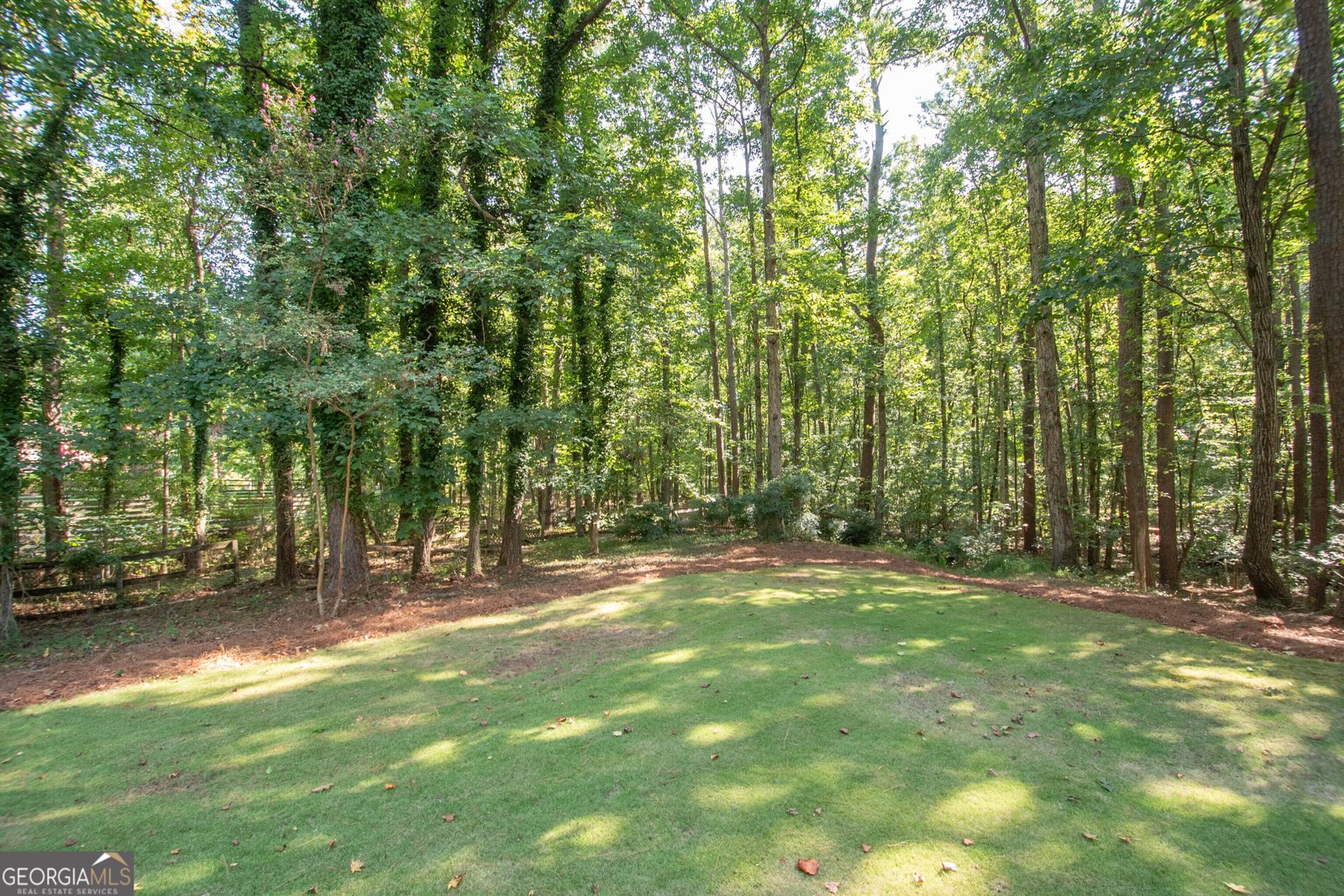 300 Weeping Willow Way Tyrone - Photo 43