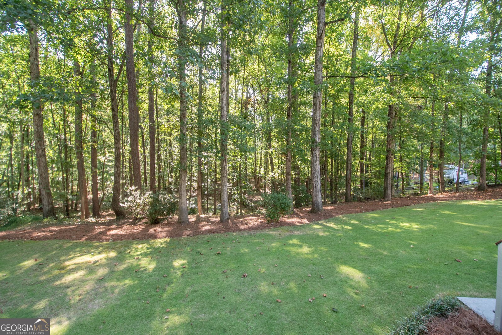 300 Weeping Willow Way Tyrone - Photo 44