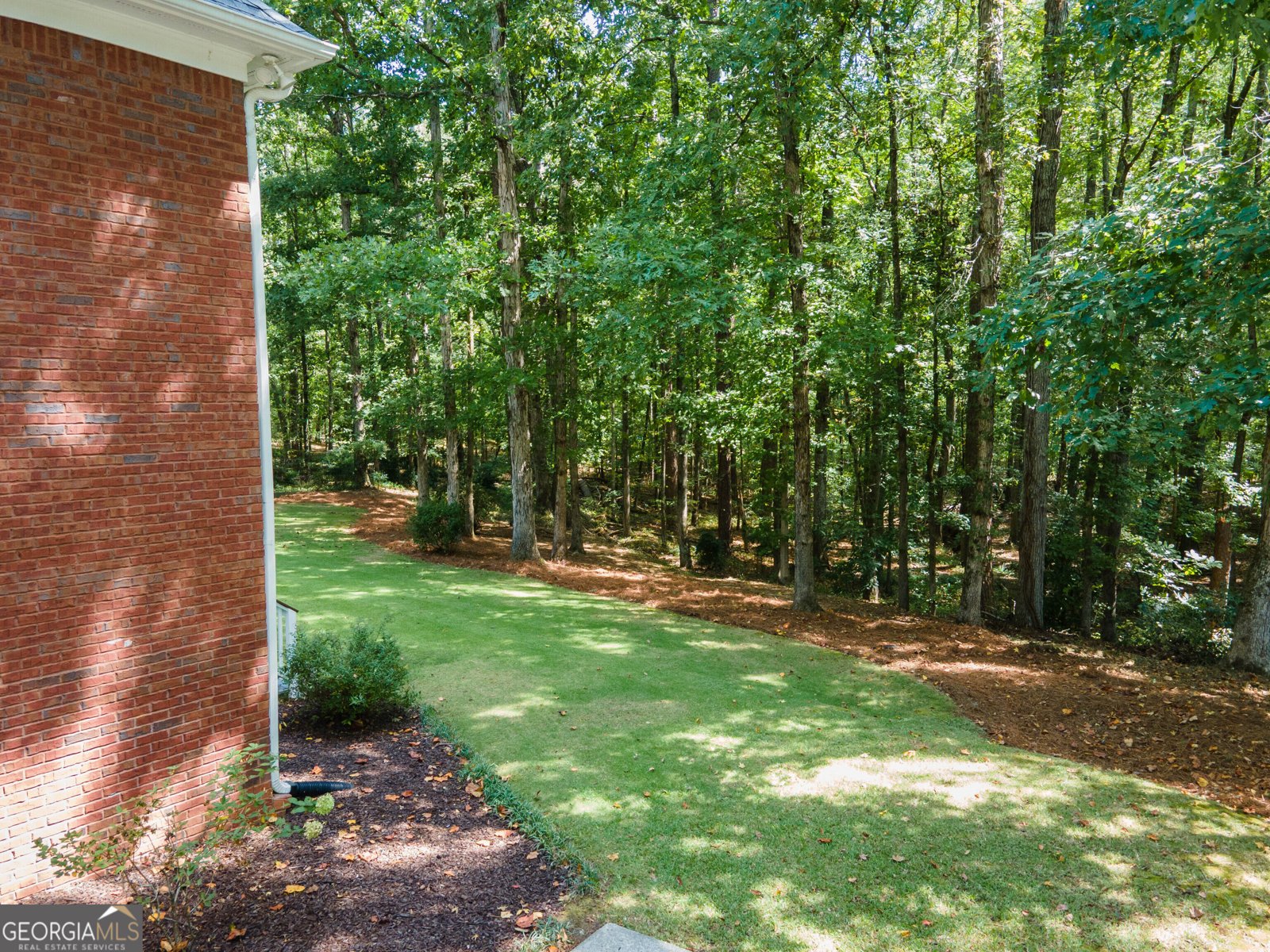 300 Weeping Willow Way Tyrone - Photo 48