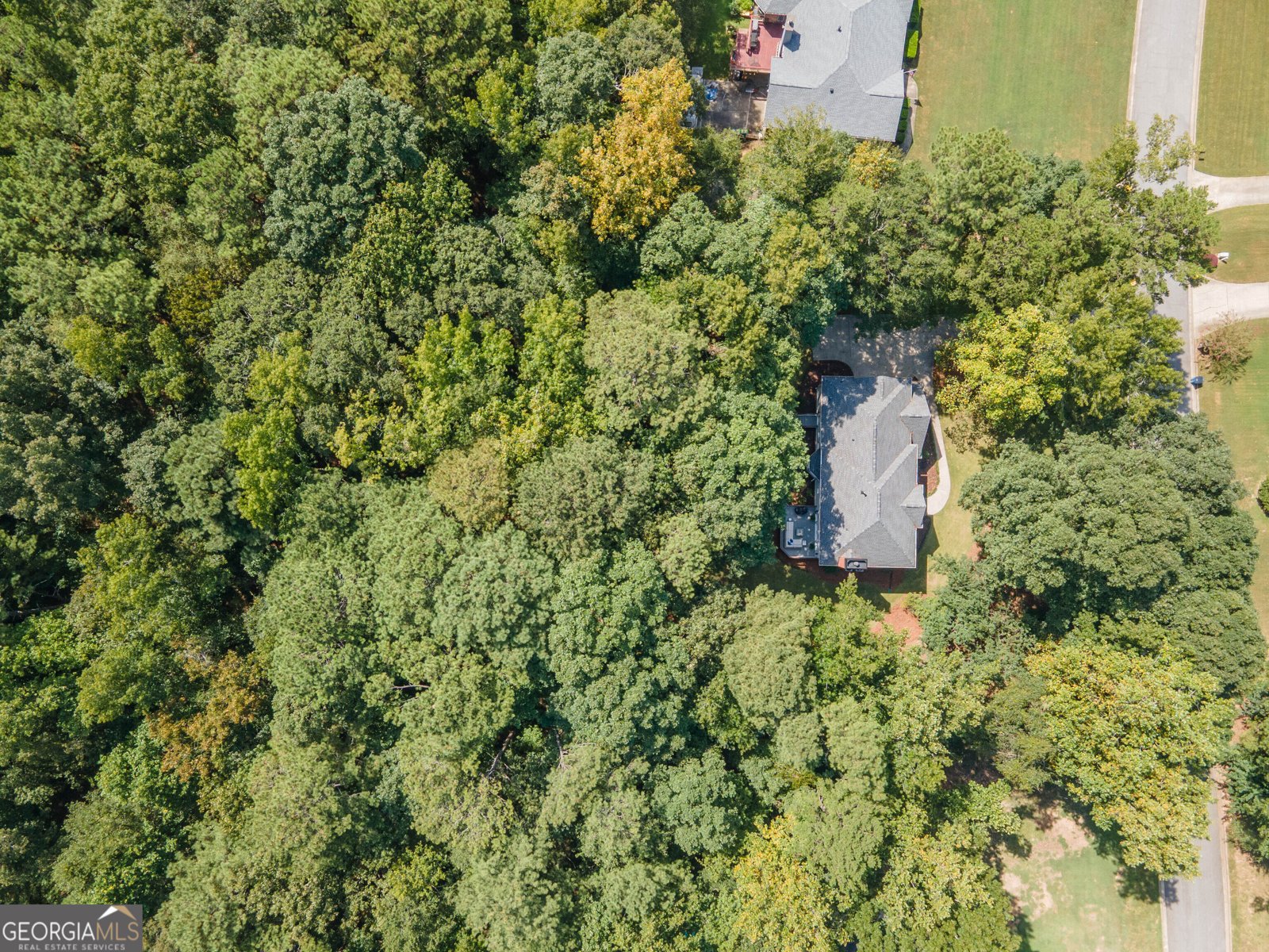 300 Weeping Willow Way Tyrone - Photo 53