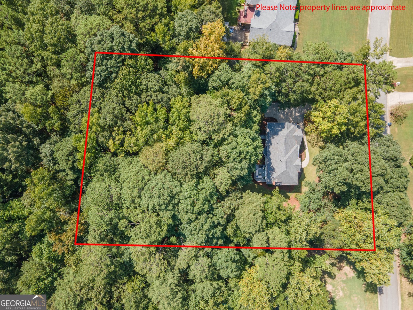 300 Weeping Willow Way Tyrone - Photo 56
