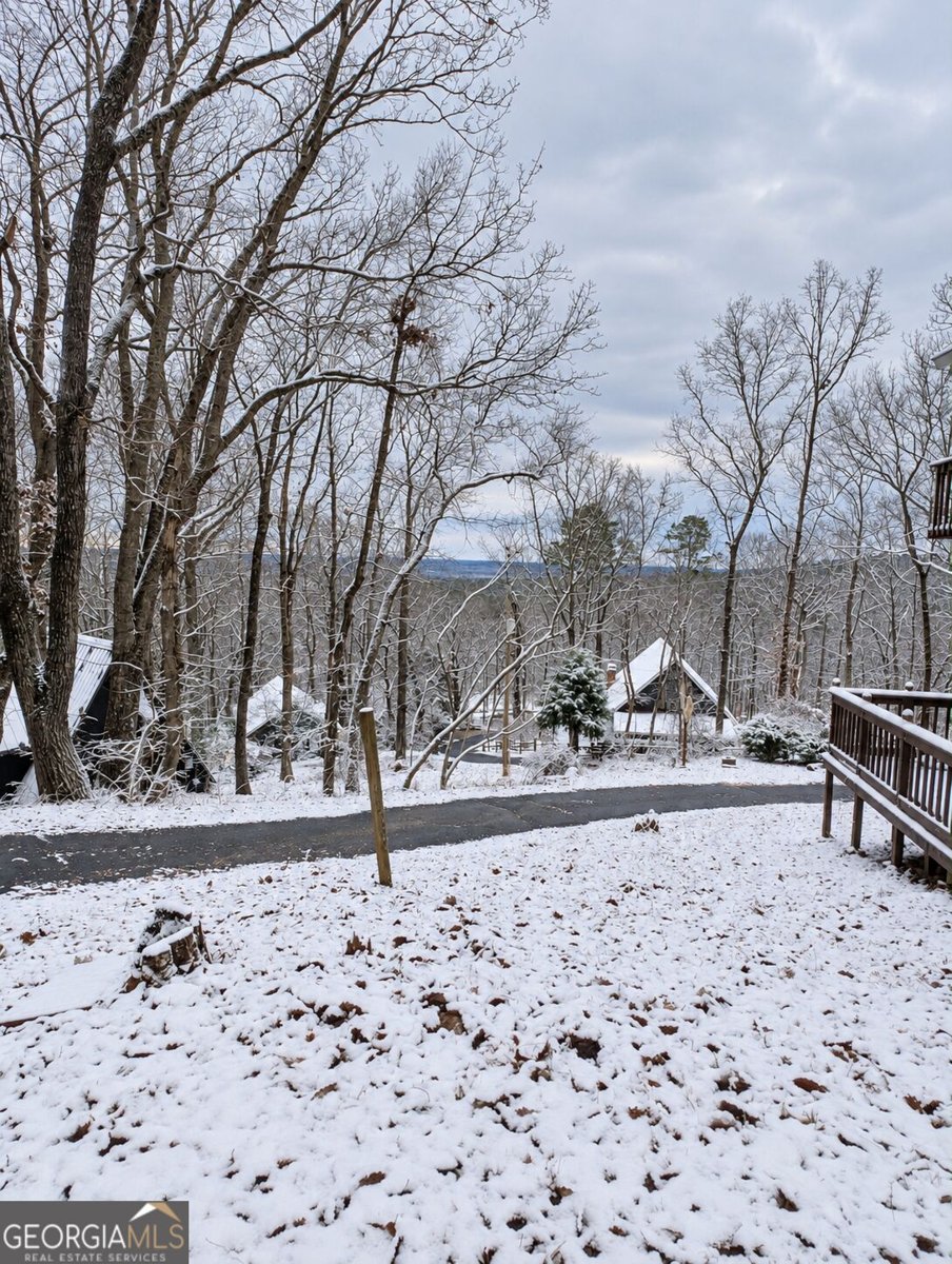165 Royal Lodge Dr Warm Springs - Photo 16