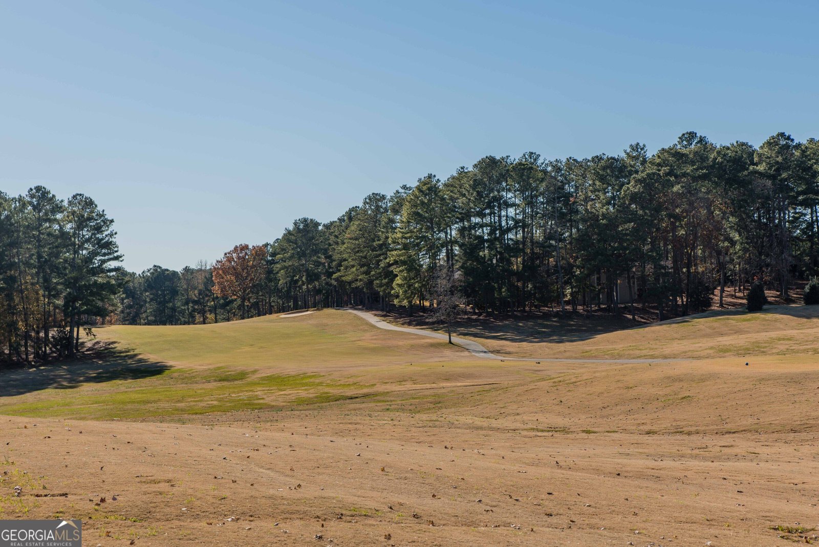 3259 Greenhill Court Villa Rica - Photo 8